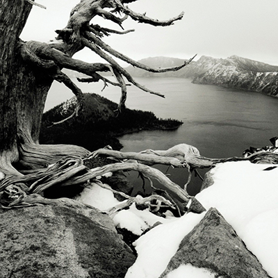 Fotografía en b/n de un paisaje con lago